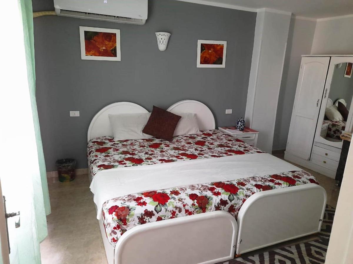 Apartment Nefertarie